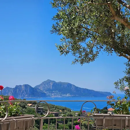 Luci Di Capri 马萨鲁布朗斯